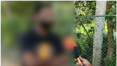 സര്‍ക്കാര്‍ ജോലി വാഗ്ദാനം ചെയ്ത് തട്ടിപ്പ്; മുഖ്യആസൂത്രക സരിതാ നായരെന്ന് പരാതിക്കാരന്‍