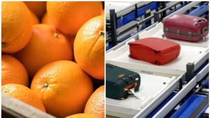 എക്സ്ട്രാ ലഗേജിന്റെ പണം ലാഭിക്കാനായി 30 കിലോ ഓറഞ്ച് തിന്നുതീര്ത്ത യുവാക്കള്ക്ക് കിട്ടിയത് മുട്ടന് പണി