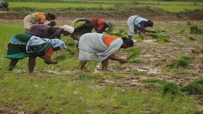 Cabinet approves implementation of PMKSY scheme for 2021-26, irrigation scheme to benefit 22 lakh farmers