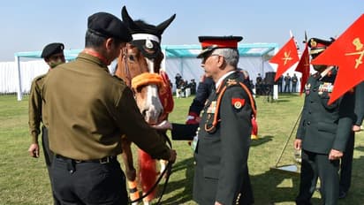 Indian Army's 61 Cavalry’s Rio gets Chief of Army Staff commendation