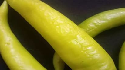 कभी खाया है हरी मिर्च का हलवा? छत्तीसगढ़ में हर शादी-ब्याह पर इससे करवाया जाता है मुंह मीठा