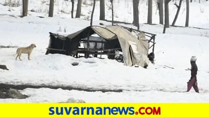 ಶ್ರೀನಗರದಲ್ಲಿ -8.8 ಡಿಗ್ರಿ ಉಷ್ಣಾಂಶ: 30 ವರ್ಷದಲ್ಲೇ ಕನಿಷ್ಠ!