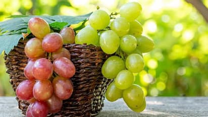 എന്തുകൊണ്ട് മുന്തിരി കഴിക്കണം? ഇതാ അഞ്ച് കാരണങ്ങള്...