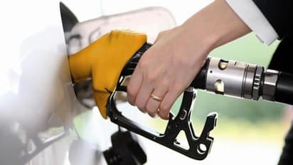 പെട്രോൾ പമ്പിലെ ഡിജിറ്റല്‍ ഇടപാടുകളുടെ ചുമതലക്കാരി, 4 വർഷത്തിൽ 24 കാരി അടിച്ച് മാറ്റിയത് 73 ലക്ഷം, അറസ്റ്റ്