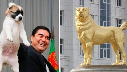 നായയോടുള്ള ആദരവായി സ്വർണപ്രതിമ, പുസ്തകം ഇപ്പോഴിതാ ദേശീയ അവധിദിനവും പ്രഖ്യാപിച്ച് തുർക്മെനിസ്ഥാൻ