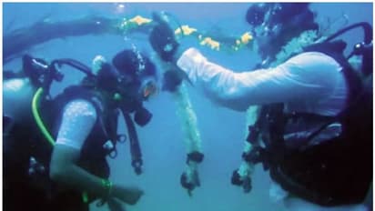 60 അടി താഴ്ചയിൽ വെള്ളത്തിനടിയിൽ വച്ച് ചിന്നദുരൈ ശ്വേതയ്ക്ക് മിന്നുകെട്ടി; വെെറലായി വീഡിയോ