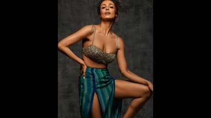 'নিতম্ব- বক্ষযুগল'-এর শরীরী খেলা না পসন্দ মালাইকার, অভিনেত্রী  না হয়ে কী হতে চেয়েছিলেন নায়িকা