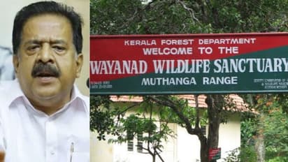 വയനാട് വന്യജീവി സങ്കേതം: കേന്ദ്ര വിജ്ഞാപനം പിൻവലിക്കാൻ സംസ്ഥാനം സമ്മർദ്ദം ചെലുത്തണമെന്ന് ചെന്നിത്തല