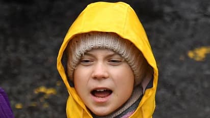 গ্রেটা থুনবার্গের 'না মোছা' টুলকিটে কী রয়েছে, যা স্পষ্ট করছে ভারত বিরোধী ষড়যন্ত্রের ছাপ