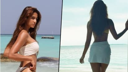 মেররে নাসিব মে গানে ঠুমকা দিশার, ডান্সিংস্টার টাইগারের নজর কতটা কাড়ল, দেখুন ভিডিও