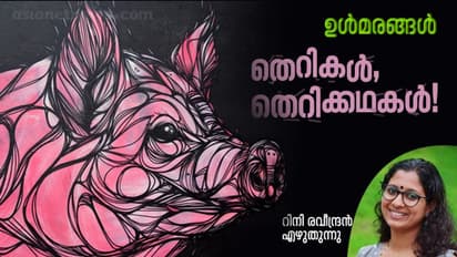 എല്ലാ തെറികളും പെണ്ണില്‍ച്ചെന്ന്  നില്‍ക്കുന്ന കാലം!