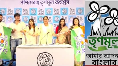 BJP-কে বড় ধাক্কা, টেলিপর্দার ' বাহা-ঝিলিক-লোকনাথ বাবা'রা দলে দলে যোগ দিলেন TMC-তে