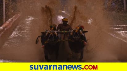 ಮಂಗಳೂರು ಕಂಬಳದಲ್ಲಿ ನಿಶಾಂತ್‌ ಕೂಟ ದಾಖಲೆ