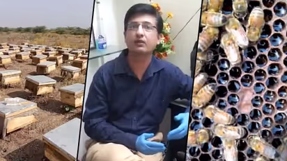 Success story of how a chartered accountant left his job to take up honey business