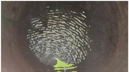 താമരക്കുളത്ത് കിണറ്റില് തിരയിളക്കം; വീട്ടുകാർ പരിഭ്രാന്തിയിൽ