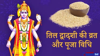 तिल द्वादशी 8 फरवरी को, इस विधि से करें व्रत और पूजा, घर में बनी रहेगी सुख-समृद्धि