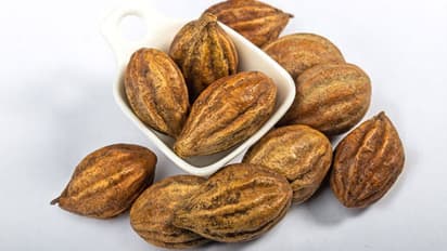 ఔషధ గుణం కలిగిన కరక్కాయ గురించి సంపూర్ణ వివరణ