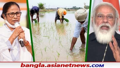 '২ মে কাছে আসতেই মাথা খারাপ হয়ে যাচ্ছে দিদির ', উলুবেড়িয়ায় মমতাকে ফের নিশানা মোদীর