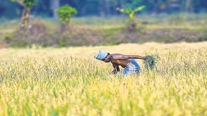 ಕೋವಿಡ್ನಿಂದ ಮೃತರಾದ ರೈತರ ಸಾಲ ಮನ್ನಾ : ಚಿಂತನೆಗೆ ಸ್ವಾಗತ