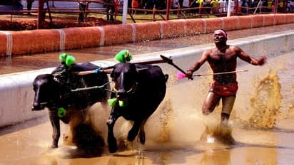 17ರಂದು ಮೂಡೂರು-ಪಡೂರು ಜೋಡುಕರೆ ಕಂಬಳ: ರಮಾನಾಥ ರೈ