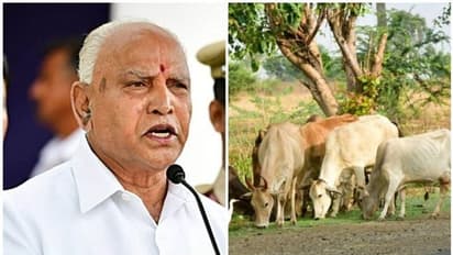 കന്നുകാലി കശാപ്പ് നിരോധനബില് കർണാടക നിയമനിര്മാണസഭയില് പാസായി