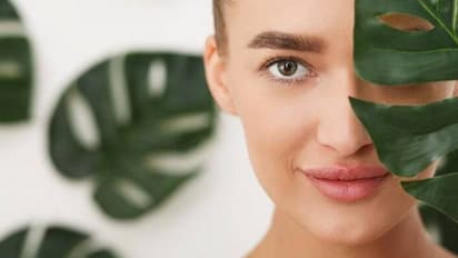 Summer Tips: கொளுத்தும் வெயிலால் முகக்கருமையா..? சருமத்தை பாதுகாக்க நச்சுனு நாலு வீட்டு வைத்திய குறிப்புகள்...