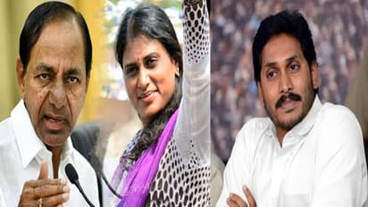 కేసీఆర్ కు షాక్, జగన్ కు ఊరట: వైఎస్ షర్మిల టార్గెట్ తెలంగాణ