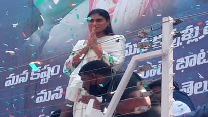 పక్కా ప్లాన్: ఎన్నికల్లో వైఎస్ షర్మిల పోటీకి స్థానాలు ఇవీ....