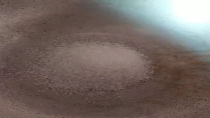 घर पर आसानी से बनाएं मार्केट जैसा महंगा वाला सोया सॉस, महीनों तक बोतल में नहीं होगा खराब