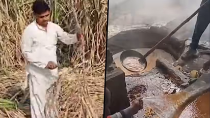 How producing organic jaggeries can be profitable