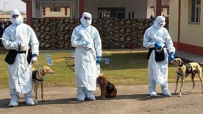 ಪರಿಸ್ಥಿತಿಗೆ ಹೀಗೆ ಮುಂದುವರಿದರೆ ಲಾಕ್‌ಡೌನ್; ಆರೋಗ್ಯ ಸಚಿವರ ಖಡಕ್ ವಾರ್ನಿಂಗ್!