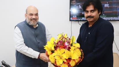 ఢిల్లీలో పవన్ బిజీబిజీ: అమిత్ షాతో జనసేనాని భేటీ.. స్టీల్ ప్లాంట్పైనే చర్చ