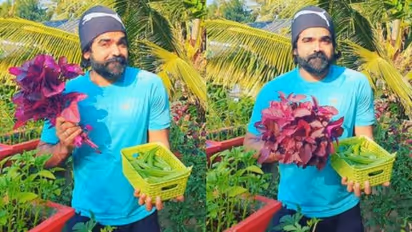 'അടുക്കളത്തോട്ടത്തിലെ നായകന്' ; വെണ്ടക്കയും ചീരയും വിളവെടുത്ത് ദീപന് മുരളി