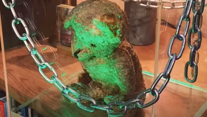 Happy or Haunted: This teddy day, meet the spookiest bear