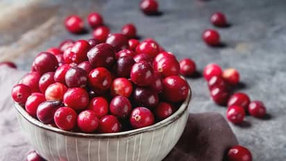 கிரான்பெர்ரி பழம் பத்தி தெரியுமா? இதை சாப்பிட்டால் சிறுநீர் பாதை நோயை சுலபமா விரட்டலாம்.. ஆய்வில் புதிய தகவல்!