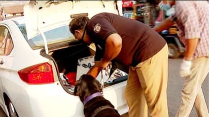 ലഹരിക്കടത്ത് കണ്ടെത്താന് മിന്നല്പ്പരിശോധനയുമായി കോഴിക്കോട് സിറ്റി പൊലീസ്