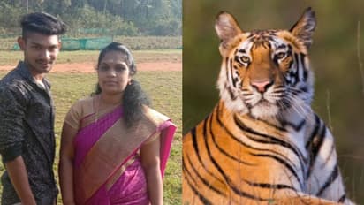 വീട്ടില് കയറിച്ച് അക്രമിച്ച് കടുവ; ജീവന് തിരിച്ചു കിട്ടിയത് തലനാരിഴക്കെന്ന് സാലിതയും മൃദുനും