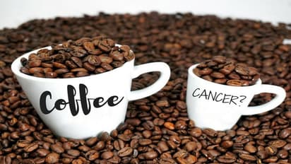 ಸೊಳ್ಳೆಯ ಕಾಟದಿಂದ ಮುಕ್ತಿ ಪಡೆಯಲು ಈ ನ್ಯಾಚುರಲ್ ಟ್ರಿಕ್ ಟ್ರೈ ಮಾಡಿ