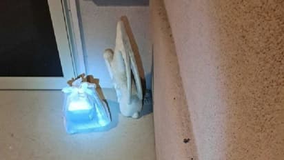 ഓര്‍ഡര്‍ ചെയ്ത ഭക്ഷണമെടുക്കാൻ വീടിന് പുറത്തിറങ്ങി; കണ്ടത് പേടിപ്പെടുത്തുന്ന കാഴ്ച