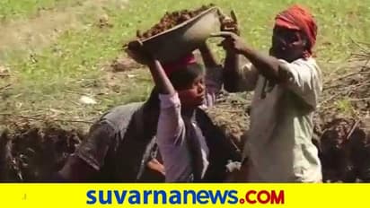 ಬಿಟೆಕ್, ಡಿಪ್ಲೋಮಾ ಬಾಕಿ ಶುಲ್ಕ ಪಾವತಿಗೆ ನರೇಗಾದಲ್ಲಿ ಬೆವರು ಹರಿಸುತ್ತಿರುವ ಸೋದರಿಯರು