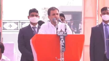 പ്രതിഷേധം കടുപ്പിച്ച് കർഷകർ, പിന്തുണയുമായി രാജസ്ഥാനിലെ മഹാപഞ്ചായത്തിൽ രാഹുൽ ഗാന്ധി