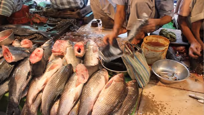 ಮೀನು ಪ್ರಿಯರು ಈ ಸುದ್ದಿ ಕೇಳಿದ್ರೆ ಫುಲ್ ಖುಷಿಯಾಗೋದು ಗ್ಯಾರಂಟಿ