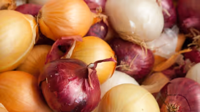 Salmonella Outbreak:  কাঁচা পেঁয়াজ থেকে ছড়াচ্ছে দ্রুত সালমোনেলা রোগ, জানুন রোগের উপসর্গগুলি