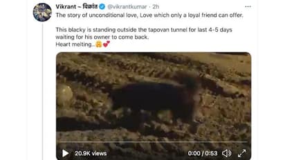 Indeed, dog is man’s best friend: Blackie awaits return of its caretakers outside tragedy in Uttarakhand