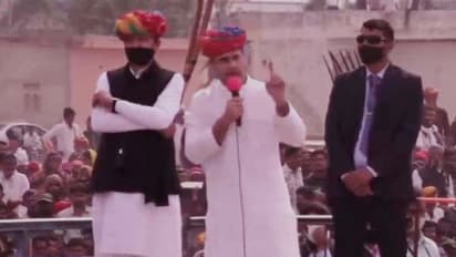 রাজস্থানে ট্র্যাক্টর চালালেন রাহুল গান্ধী, কৃষি আইন বাতিলের পক্ষে সওয়াল, দেখুন সেই ভিডিও