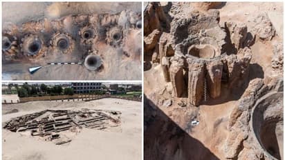 ലോകത്തിലെ ഏറ്റവും പഴക്കമുള്ള മദ്യ നിര്മ്മാണ ശാല കണ്ടെത്തി; ഒരേസമയം നിര്മ്മിച്ചത് 22400 ലിറ്റര് മദ്യം