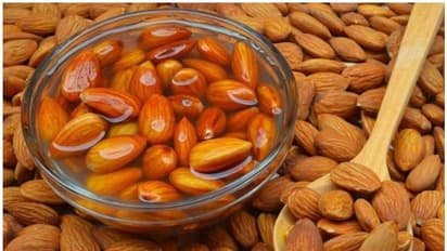 ബദാം കുതിർത്ത് കഴിക്കണമെന്ന് പറയുന്നതിന്റെ കാരണങ്ങൾ ഇതാണ്