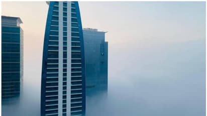 യുഎഇയില് ഏഴാം ദിവസവും കനത്ത മൂടല്മഞ്ഞ്; ജാഗ്രതാ നിര്ദ്ദേശവുമായി അധികൃതര്