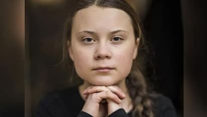 'টাকা নিয়ে আন্দোলনে সমর্থন', ভারতে মুখোশ খুলে গেছে গ্রেটার, টুলকিট কেসে বললেন মার্কিন লেখক