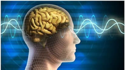 ఈ ఆహారాలు జ్ఞాపకశక్తిని తగ్గిస్తాయి.. ఎక్కువగా తినకండే..